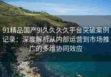 91精品国产9l久久久久平台突破案例记录：深度解析从内部运营到市场推广的多维协同效应