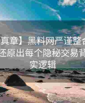 【数据真章】黑料网严谨整合：用冷静数据还原出每个隐秘交易背后的真实逻辑
