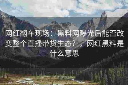 网红翻车现场：黑料网曝光后能否改变整个直播带货生态？，网红黑料是什么意思