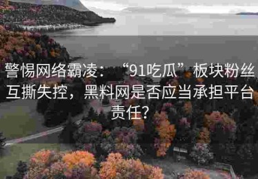 警惕网络霸凌：“91吃瓜”板块粉丝互撕失控，黑料网是否应当承担平台责任？
