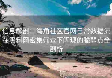 信息解剖：海角社区官网日常数据流在黑料网密集筛查下闪现的脆弱点全剖析