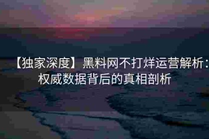 【独家深度】黑料网不打烊运营解析：权威数据背后的真相剖析
