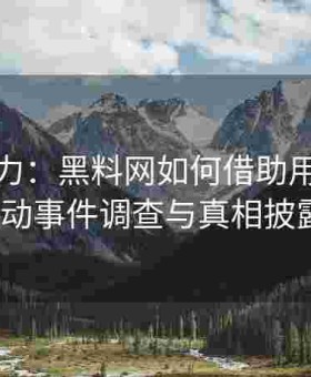 群策群力：黑料网如何借助用户智慧推动事件调查与真相披露？