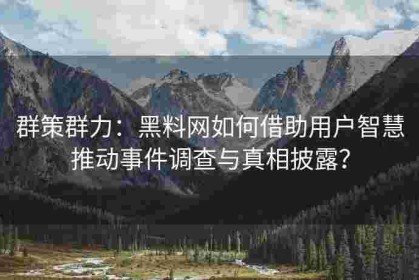 群策群力：黑料网如何借助用户智慧推动事件调查与真相披露？
