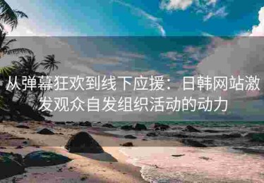 从弹幕狂欢到线下应援：日韩网站激发观众自发组织活动的动力