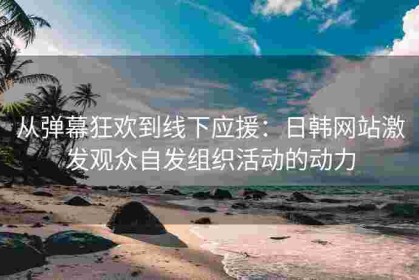 从弹幕狂欢到线下应援：日韩网站激发观众自发组织活动的动力