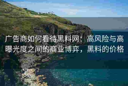 广告商如何看待黑料网：高风险与高曝光度之间的商业博弈，黑料的价格