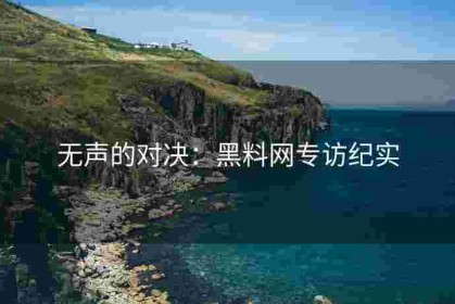 无声的对决：黑料网专访纪实