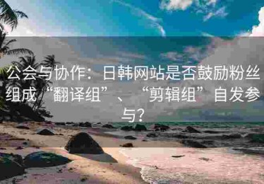 公会与协作：日韩网站是否鼓励粉丝组成“翻译组”、“剪辑组”自发参与？