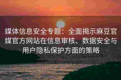 媒体信息安全专题：全面揭示麻豆官媒官方网站在信息审核、数据安全与用户隐私保护方面的策略