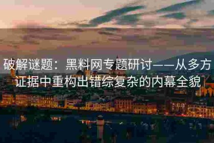 破解谜题：黑料网专题研讨——从多方证据中重构出错综复杂的内幕全貌