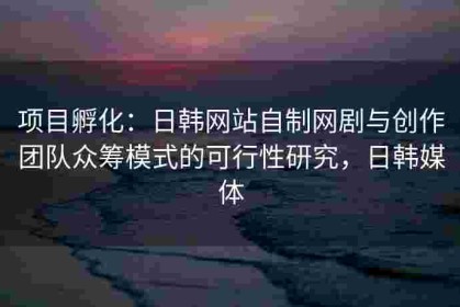 项目孵化：日韩网站自制网剧与创作团队众筹模式的可行性研究，日韩媒体