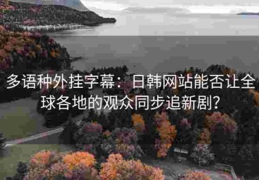 多语种外挂字幕：日韩网站能否让全球各地的观众同步追新剧？