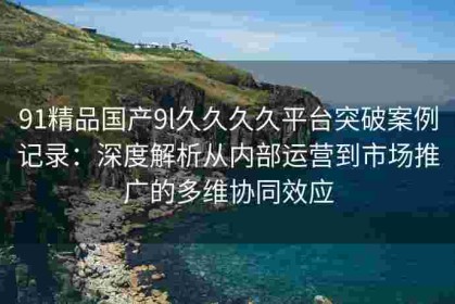 91精品国产9l久久久久平台突破案例记录：深度解析从内部运营到市场推广的多维协同效应