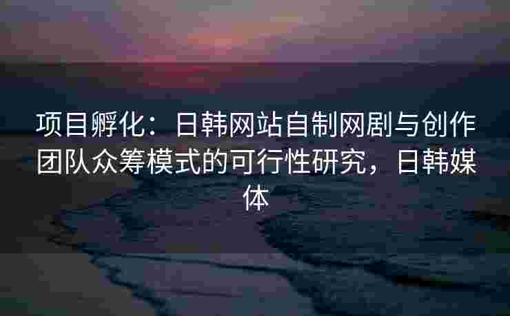 项目孵化：日韩网站自制网剧与创作团队众筹模式的可行性研究，日韩媒体