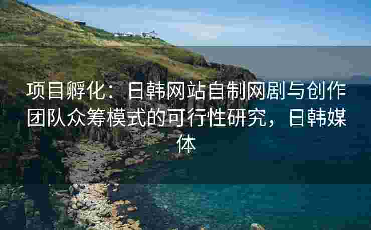 项目孵化：日韩网站自制网剧与创作团队众筹模式的可行性研究，日韩媒体