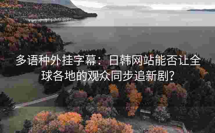 多语种外挂字幕：日韩网站能否让全球各地的观众同步追新剧？