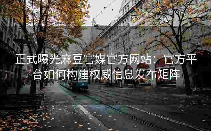 正式曝光麻豆官媒官方网站：官方平台如何构建权威信息发布矩阵