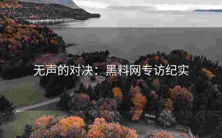 无声的对决：黑料网专访纪实