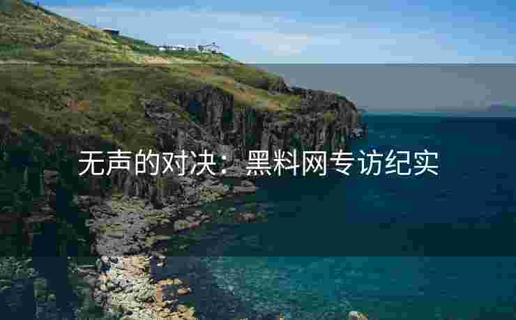 无声的对决：黑料网专访纪实